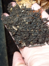compost open compost open