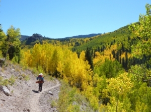 hiking trail on the trail