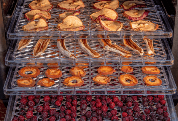 fruit drying on trays in a dehydrator