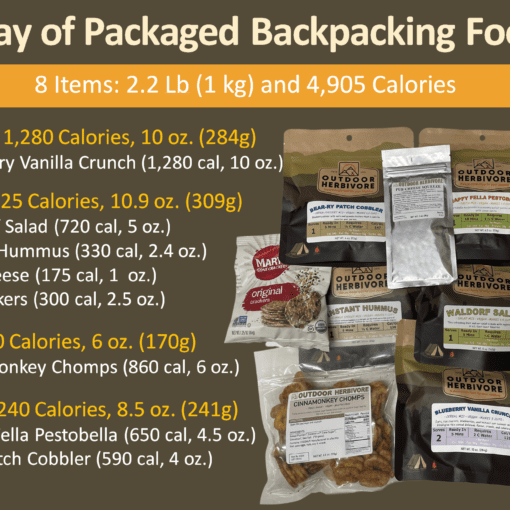 1 day of backpacking calories menu