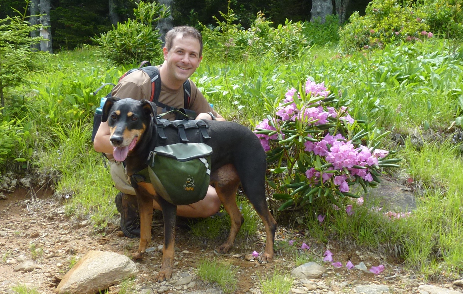 backpacking and dogs