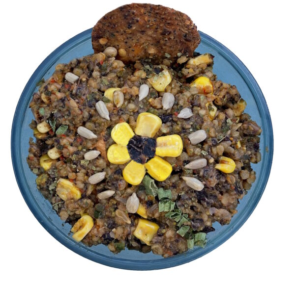 Sunny Sunflower Spread by Outdoor Herbivore