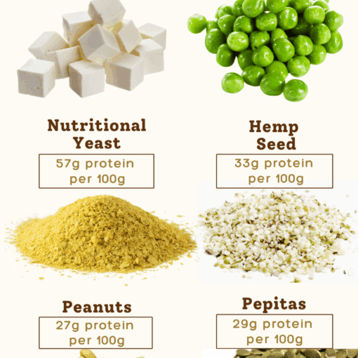 List of high protein vegetarian foods