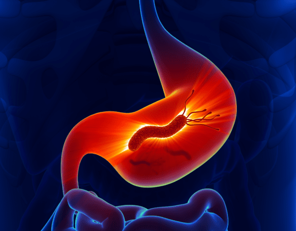 photo of a bug in the leading to illness