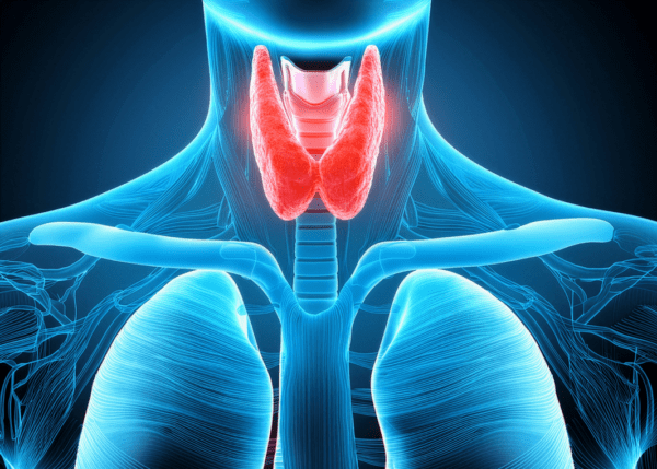 iodine's role in the health of the thyroid