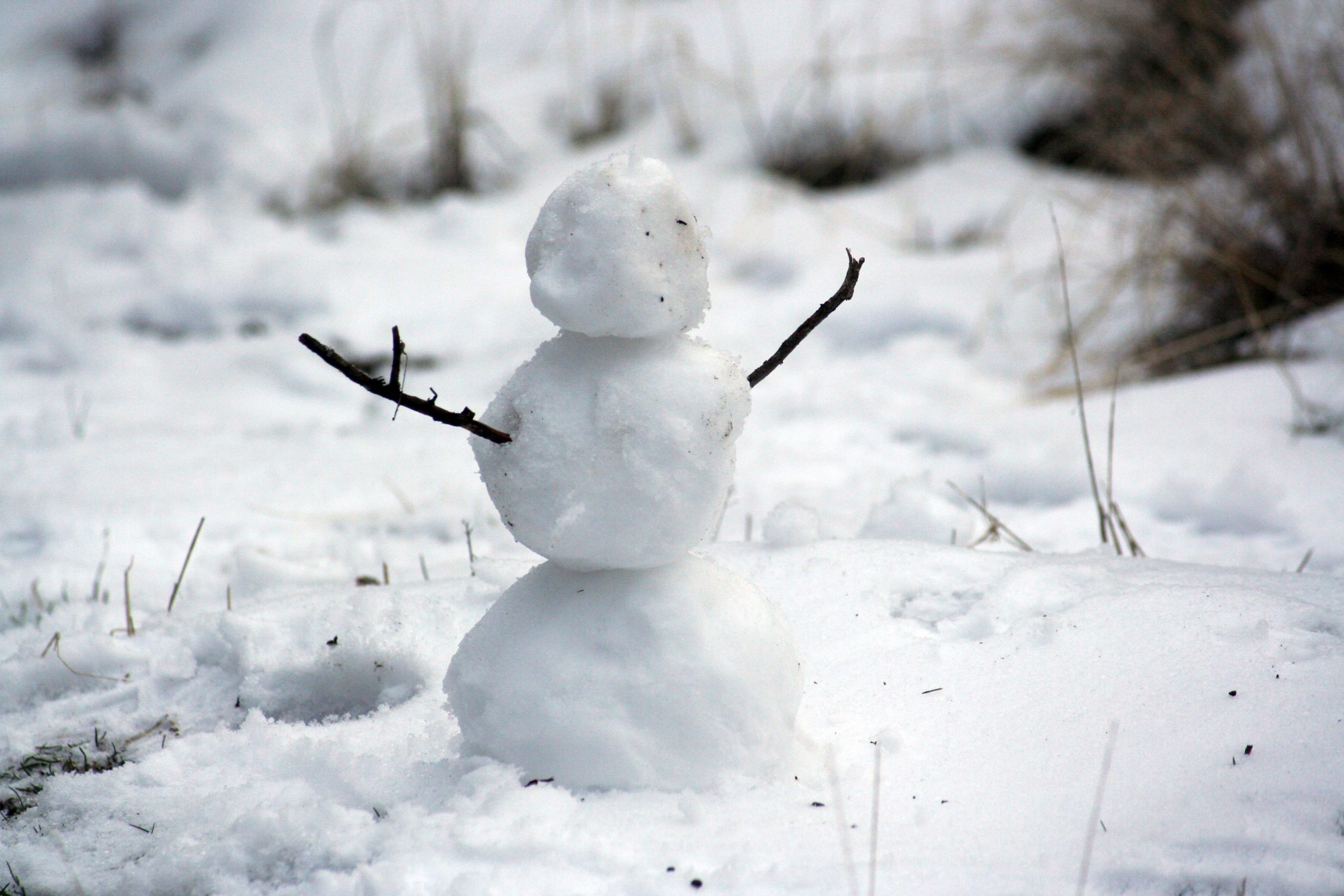 snowman | Outdoor Herbivore Blog