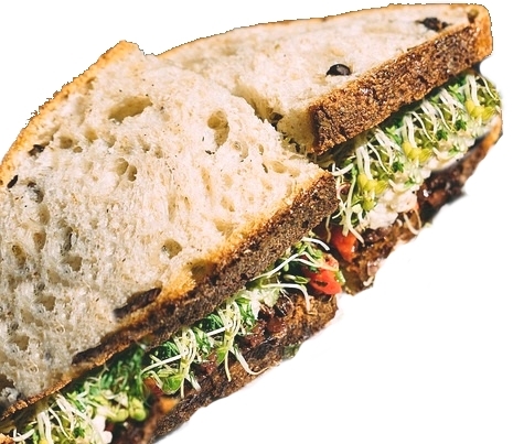 sprouts_sandwich | Outdoor Herbivore Blog